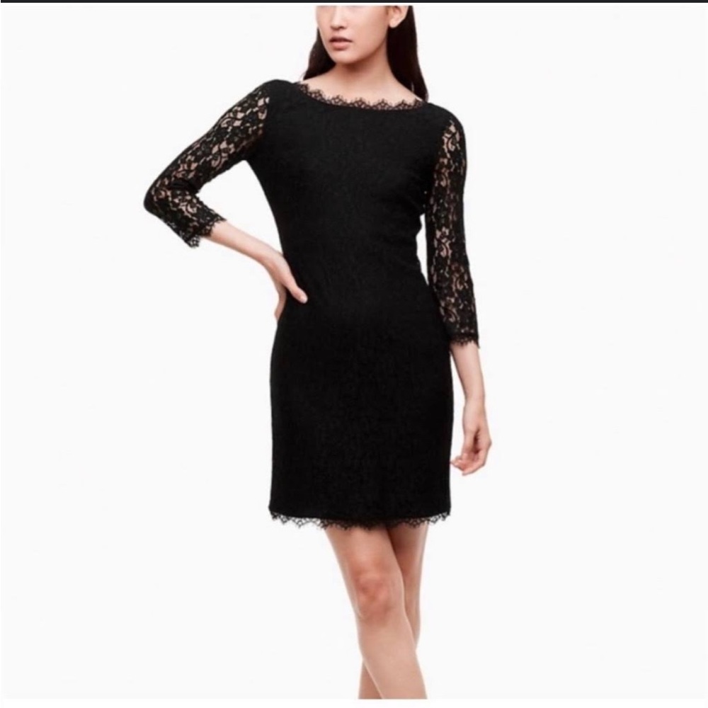 Aritzia Babaton Rafael Dress (formal black lace)